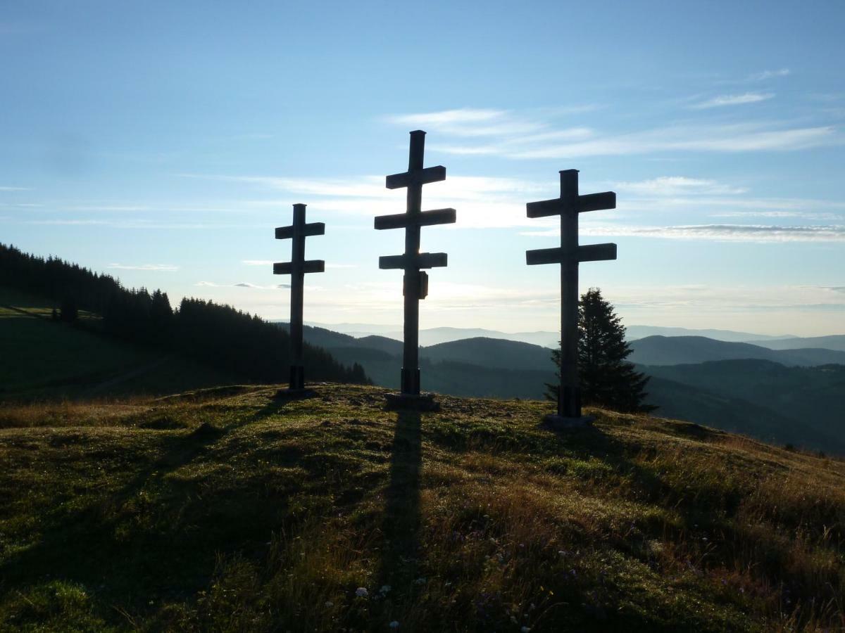 Sommeralmhütte Sankt Kathrein am Offenegg Exterior foto